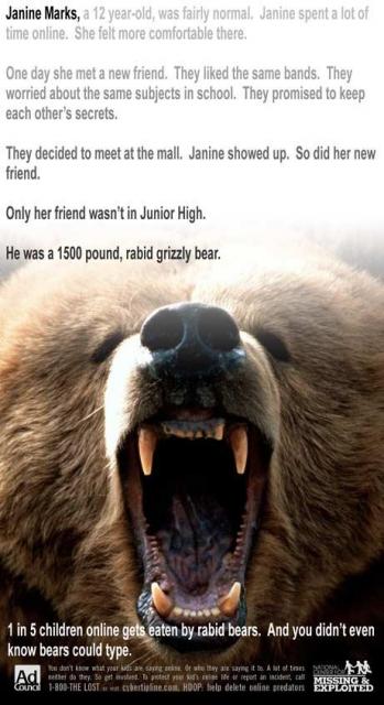 bears