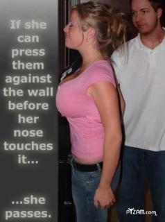 wall boobs. (NSFW sorta...depends on your boss)