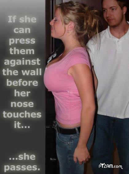 wall boobs. (NSFW sorta...depends on your boss)