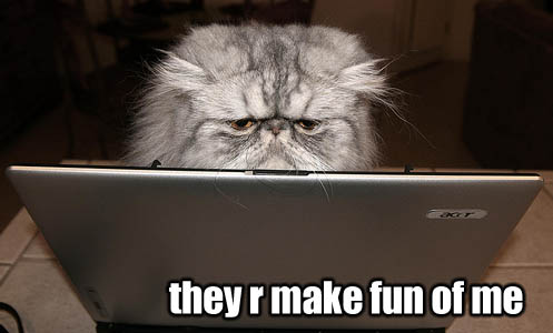 they are make fun