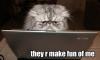 they are make fun