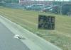 Free cat!