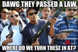 Me and the homies are here for the gun ban?