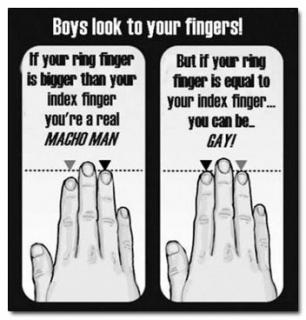 Digit Ratio Theory