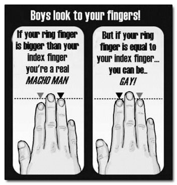 Digit Ratio Theory