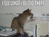 I see what you did THRRRR
