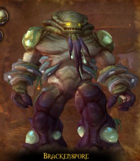 Brackenspore