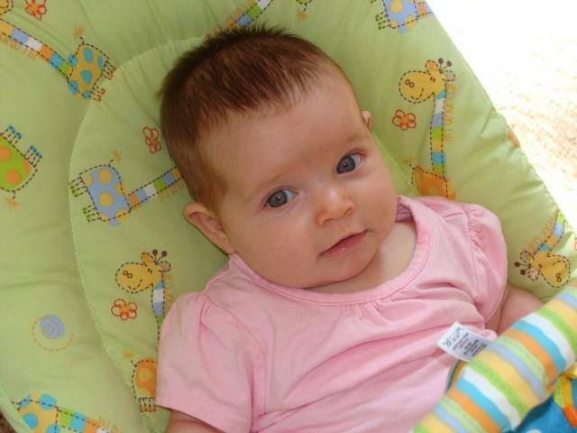 Mini Quisjaa - 2.5 months old