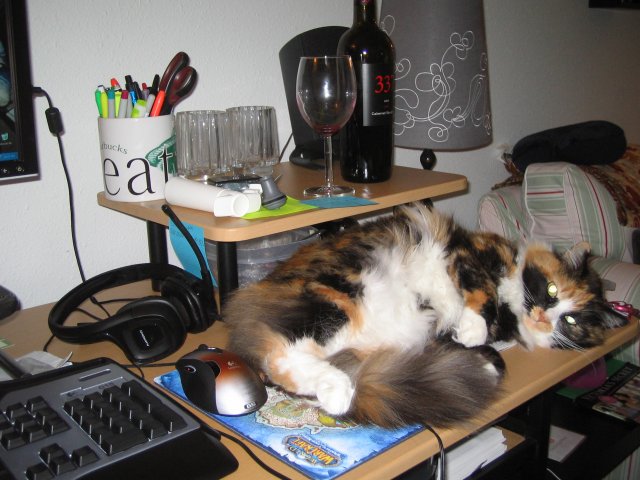 Dealing with WoW