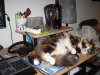 Dealing with WoW