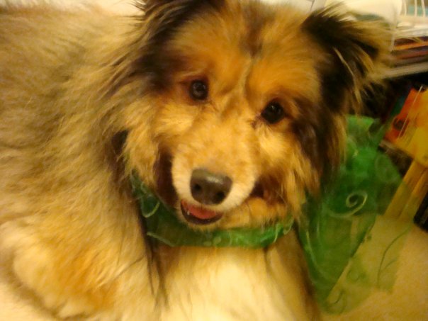 Doggy.: :)