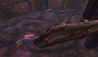 Why are all the fish dead???