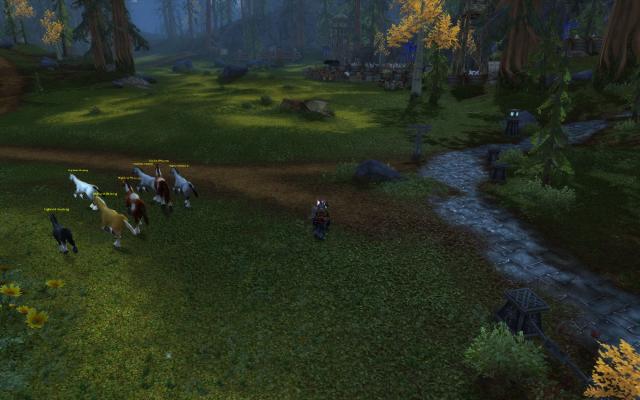 Grizzly Hills