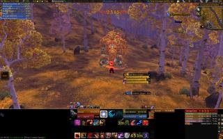 Atar UI (Bear)