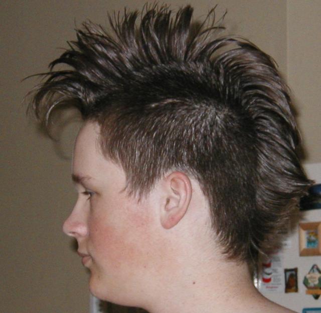 Zoo from 2 years ago with a rocking mohawk