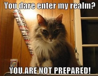 Preparation Cat