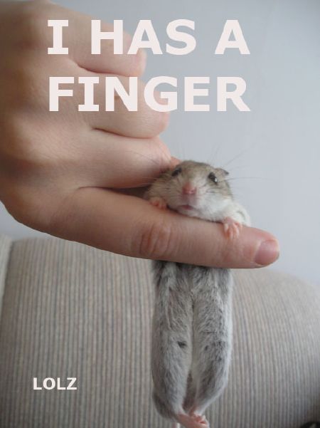 i has finger