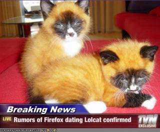 Garreth look what happened: too many kitties on Firefox!!!