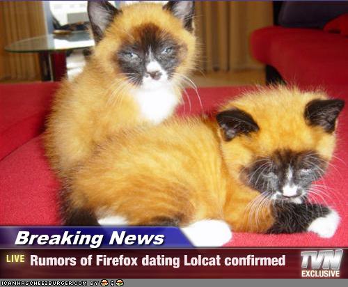 Garreth look what happened: too many kitties on Firefox!!!: Apparently September was a Busy month everywhere...