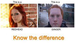 Redheads vs Gingers