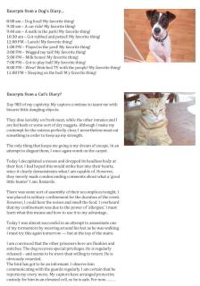 Dog's and Cat's Diaries