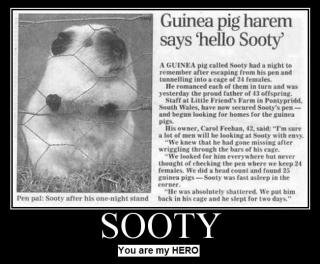 Sooty