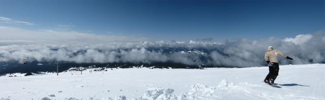 Katibug at Timberline