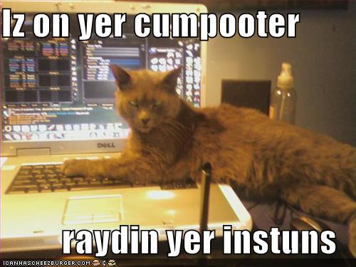 my lolcat: My lolcat, Spooky.