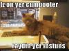 my lolcat