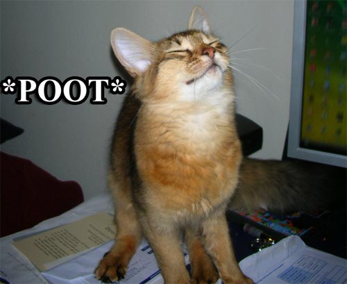 poot