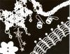 Rayne's Photogram