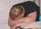 Captnopants's picture