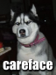 Shihli's picture