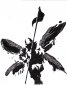 Ipconfig89's picture Ipconfig89's picture